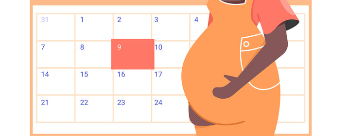 Schwangerschaftsrechner – so kannst du deine SSW und deinen Entbindungstermin berechnen