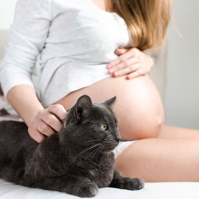 Toxoplasmose in der Schwangerschaft: So schützt du dich