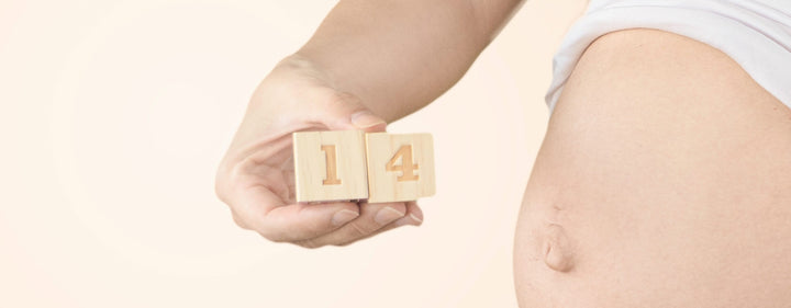 14. Schwangerschaftswoche (14. SSW) – dein Baby nimmt Bewegungen und Berührungen wahr