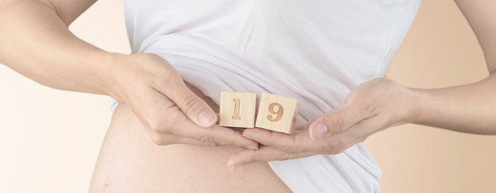 19. Schwangerschaftswoche (19. SSW) – die zweite große Ultraschalluntersuchung steht an