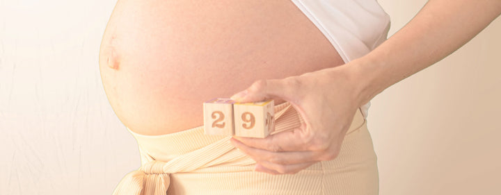 29. Schwangerschaftswoche (29. SSW) – deine 3. große Vorsorgeuntersuchung steht an