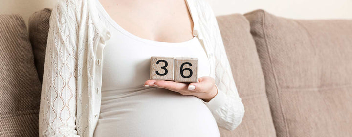 36. Schwangerschaftswoche (36. SSW) – dein Baby bereitet seine Ankunft vor